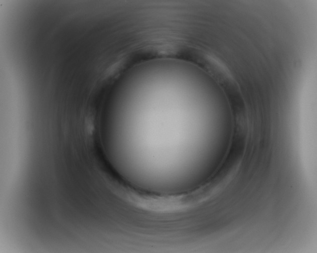 X0000114440032200910161405