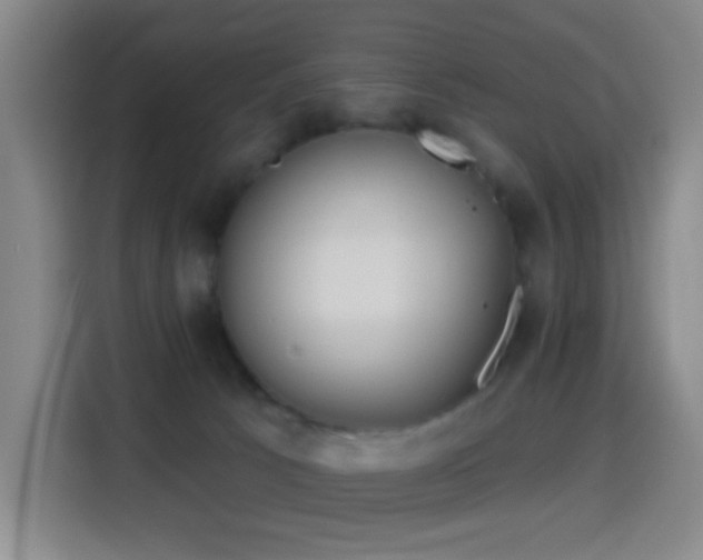 X0000114440033200910161405