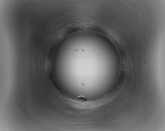 X0000114440034200910161405