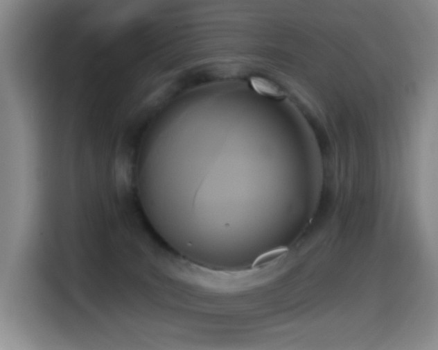 X0000114440035200910161405