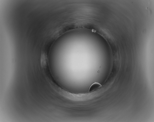 X0000114440038200910161405