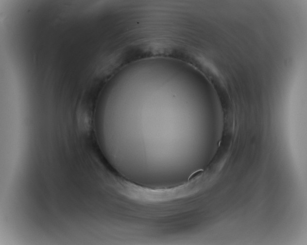 X0000114440039200910161405