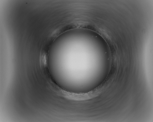X0000114440042200910161405