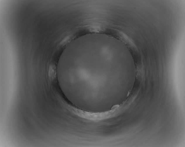 X0000114440043200910161405