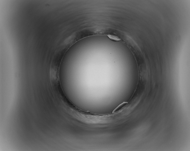X0000114440044200910161405