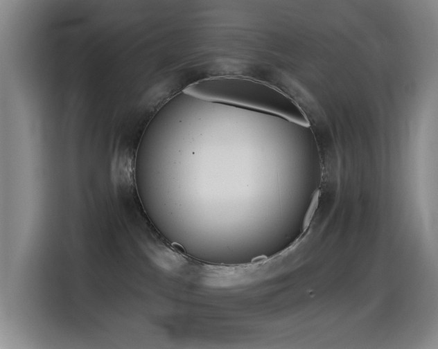 X0000114440045200910161405