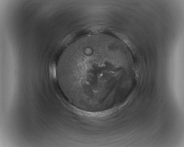 X0000114440046200910161405