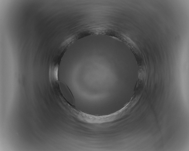 X0000114440047200910161405