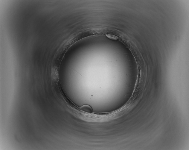 X0000114440048200910161405