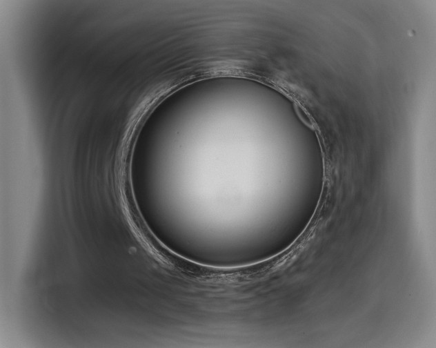 X0000114440049200910161404