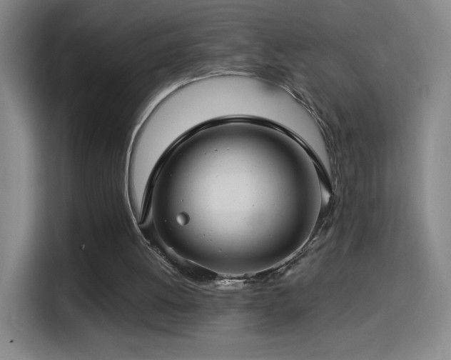 X0000114440052200910161404