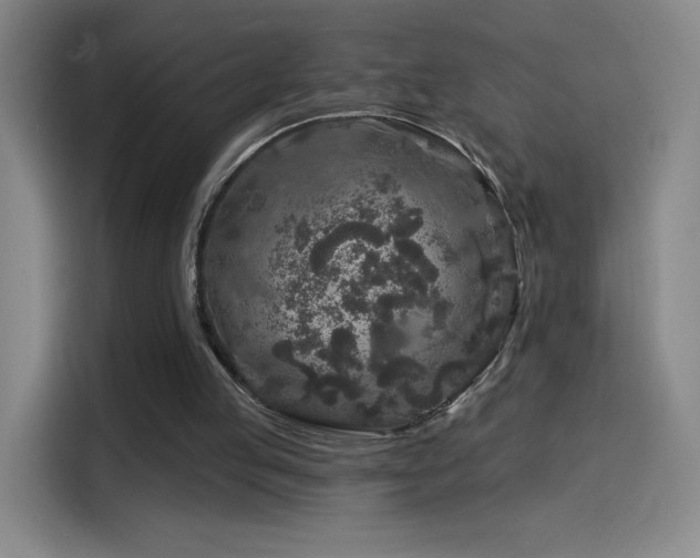 X0000114440053200910161404