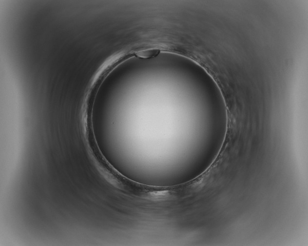 X0000114440054200910161404