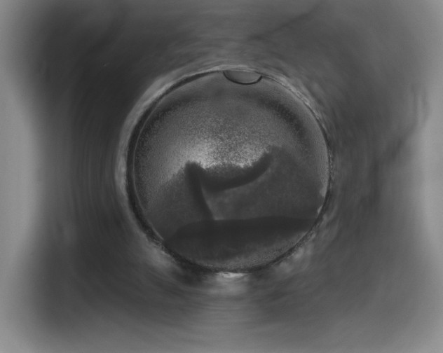 X0000114440055200910161404