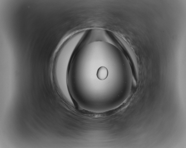X0000114440056200910161404