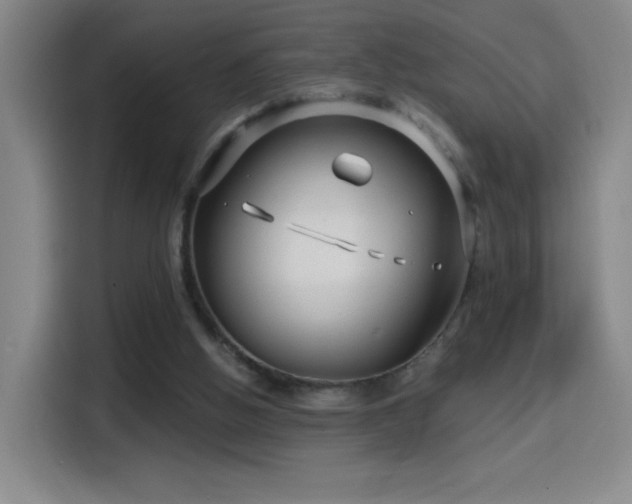X0000114440058200910161404