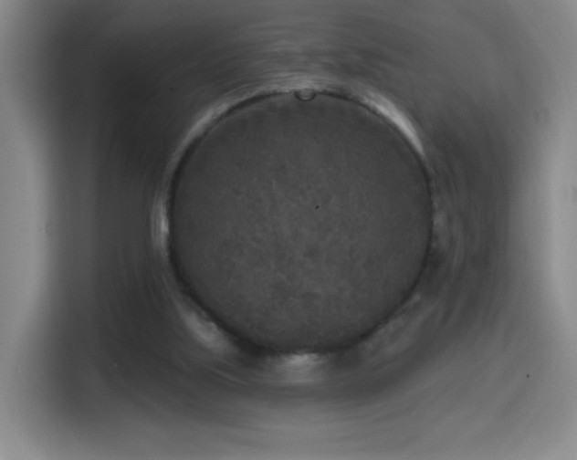 X0000114440059200910161404