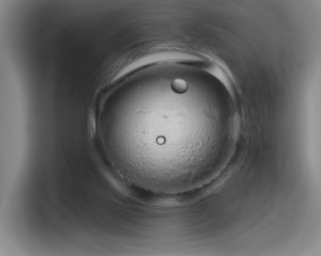 X0000114440061200910161404