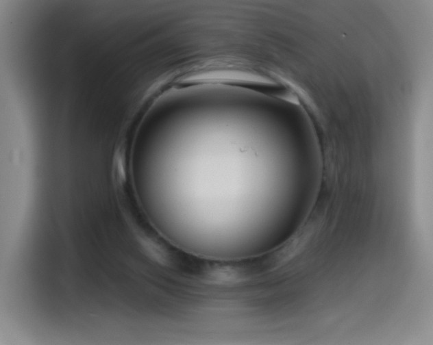 X0000114440062200910161404
