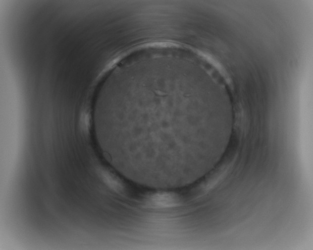 X0000114440063200910161404