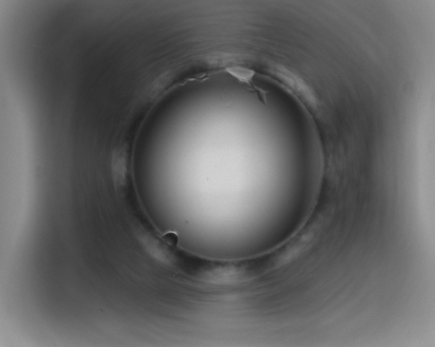 X0000114440065200910161404