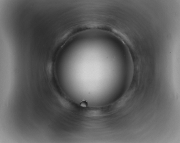 X0000114440066200910161404
