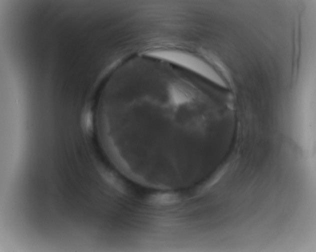X0000114440067200910161404