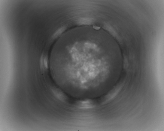 X0000114440068200910161404