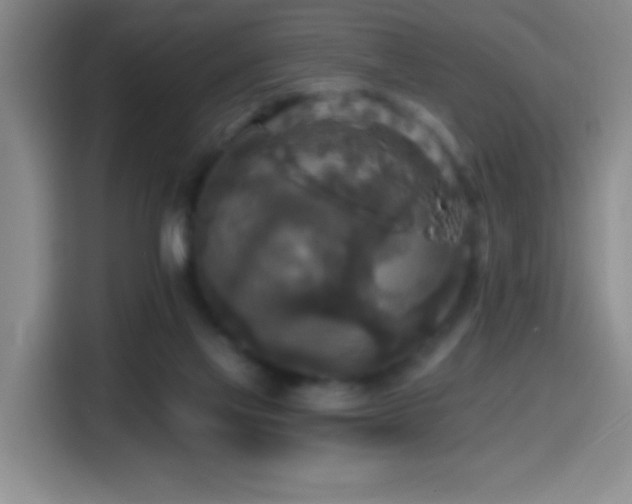 X0000114440069200910161404