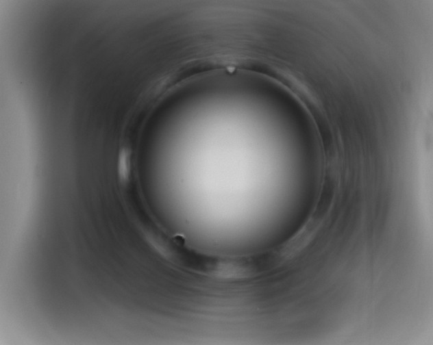 X0000114440070200910161404