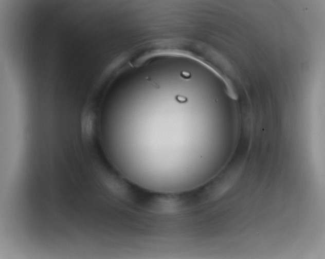 X0000114440071200910161404