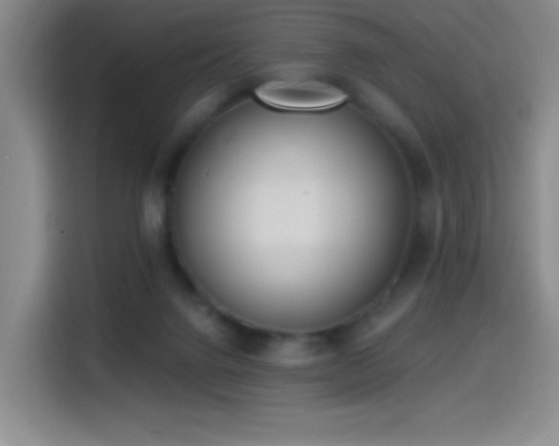 X0000114440072200910161404