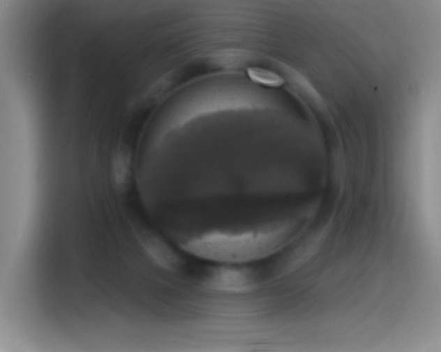X0000114440073200910161404