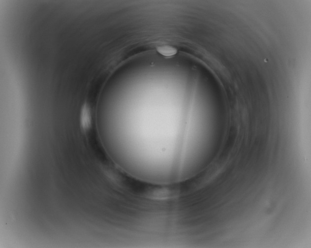 X0000114440075200910161404