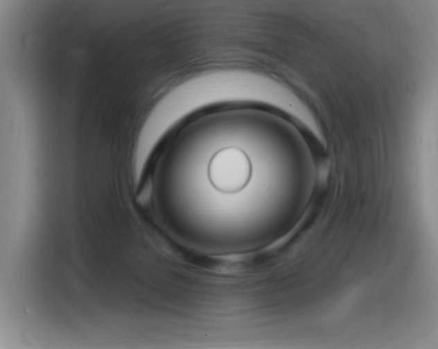 X0000114440076200910161404