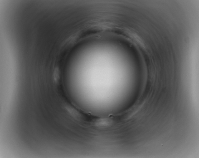 X0000114440077200910161404