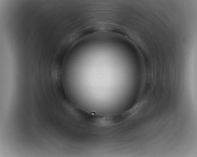 X0000114440078200910161404