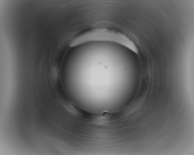 X0000114440081200910161404