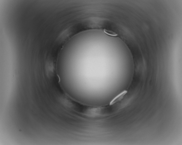 X0000114440084200910161404