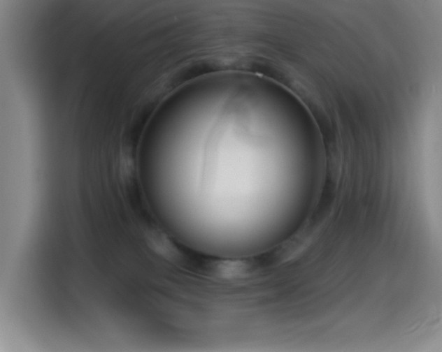 X0000114440085200910161404
