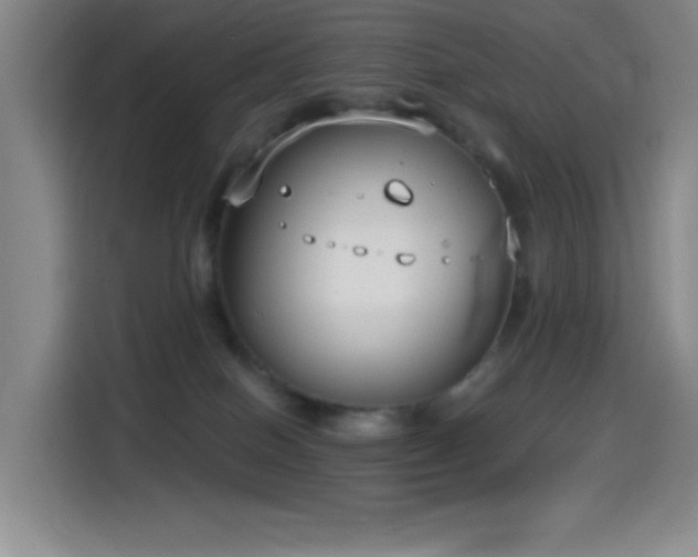 X0000114440086200910161404