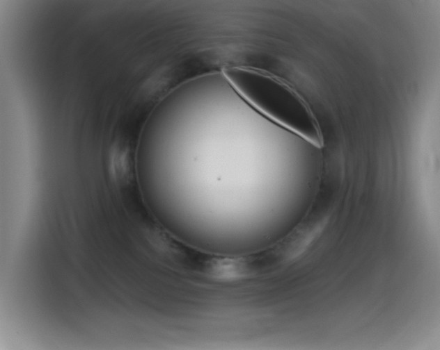 X0000114440088200910161404