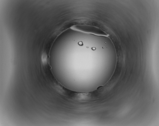 X0000114440089200910161404