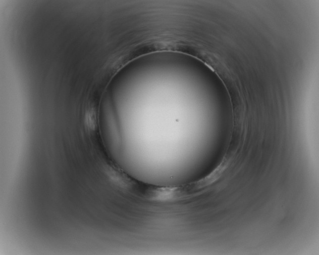X0000114440090200910161404