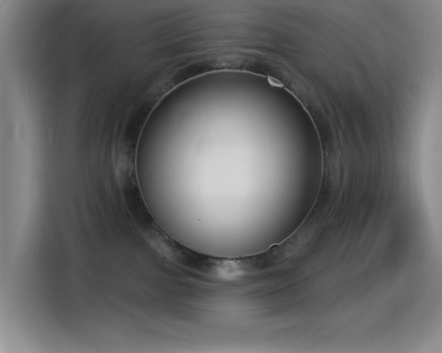 X0000114440091200910161404