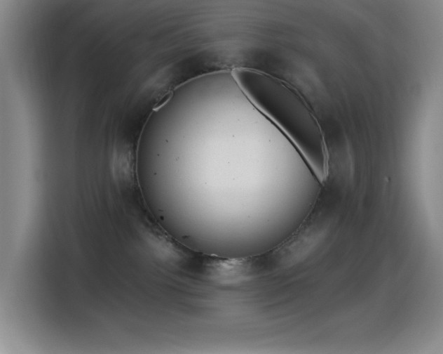 X0000114440092200910161404