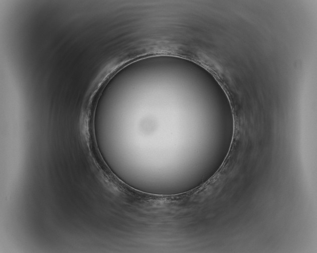 X0000114440098200910161404