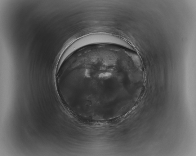 X0000114440099200910161404