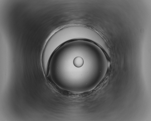 X0000114440100200910161404