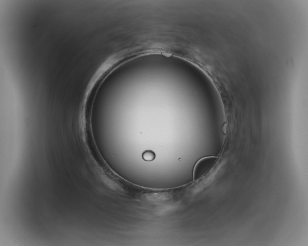 X0000114440102200910161404